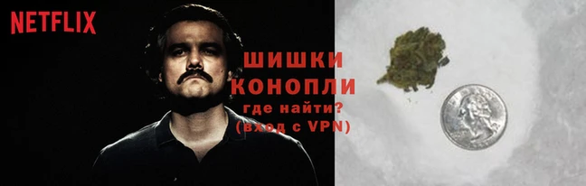 гидра Майский