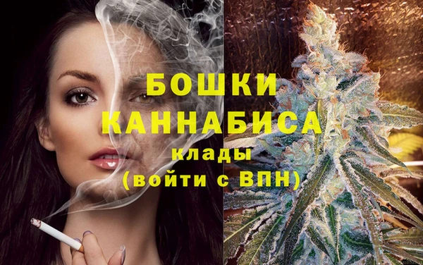 гидра Майский