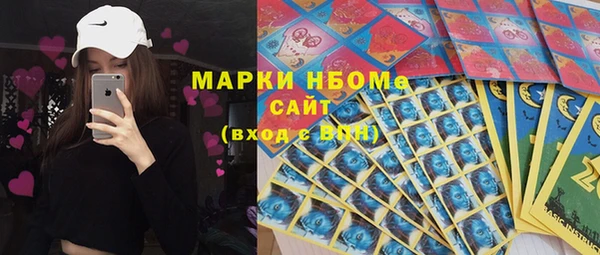 гидра Майский