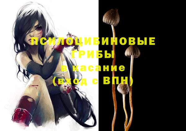 гашиш Магас